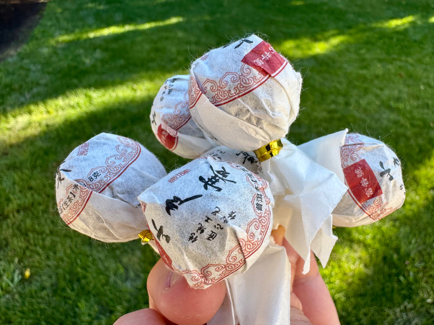 Raw Pu’er Dragon Pearl Premium