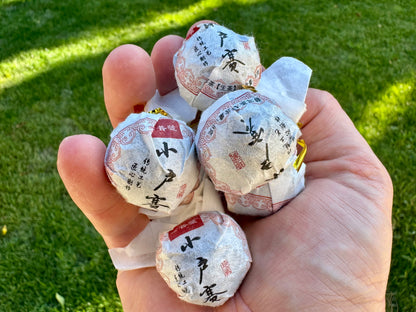 Raw Pu’er Dragon Pearl Premium