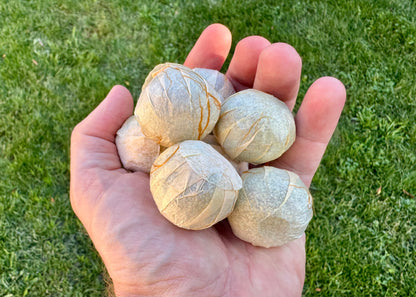 Tangerine Pu’er Tuo Cha