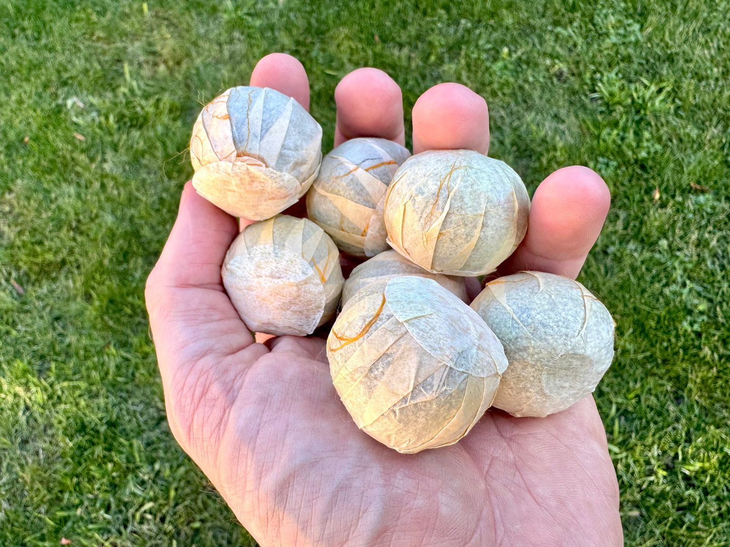 Tangerine Pu’er Tuo Cha