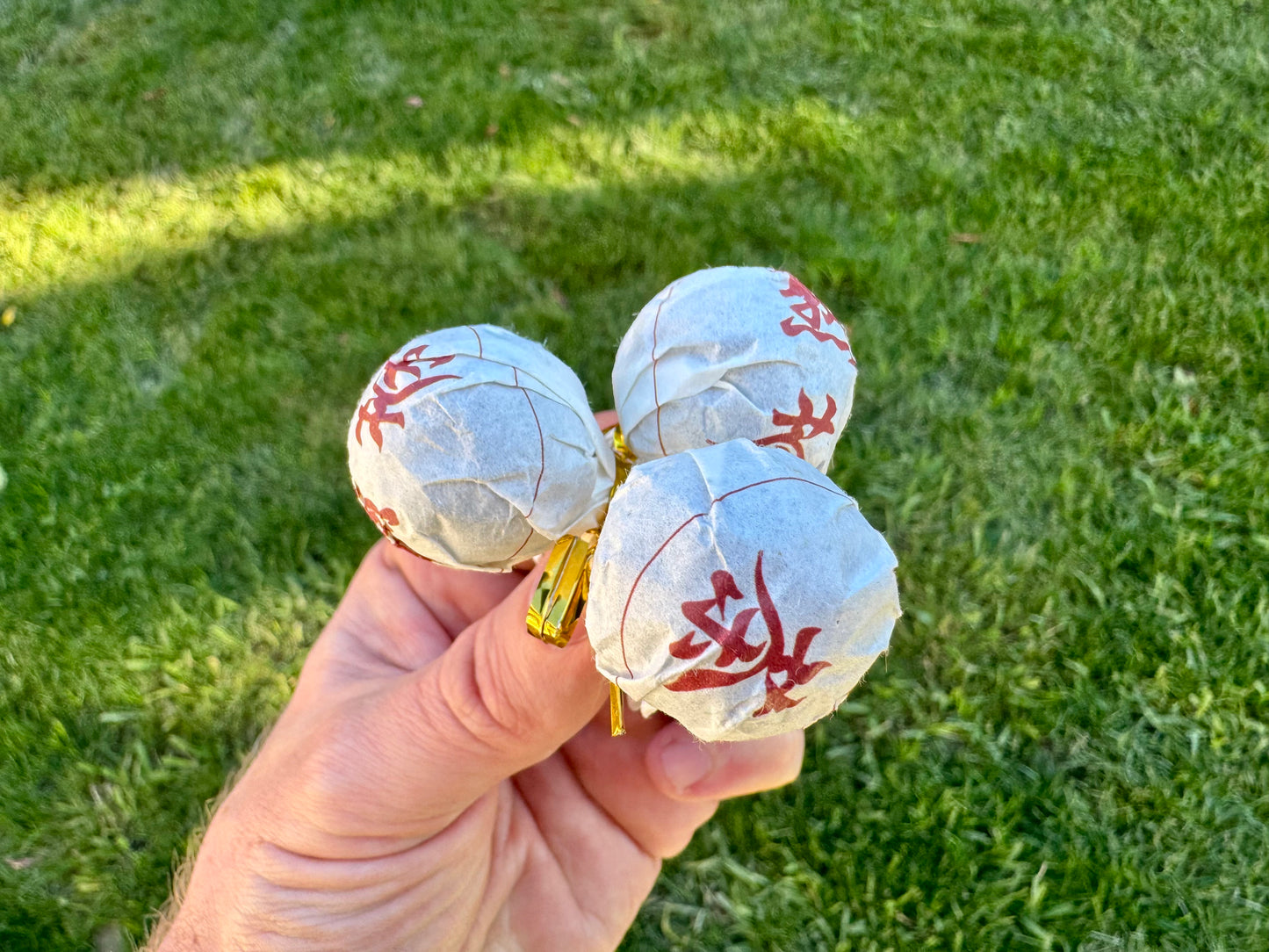 Ripe Pu’er Dragon Pearls Premium