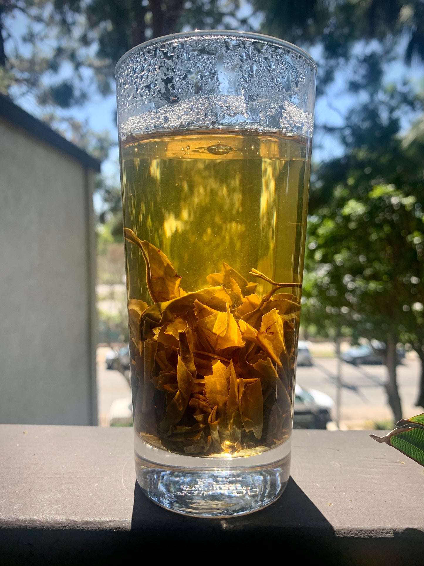 Raw Pu’er Tea Premium